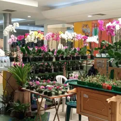 Plaza Merliot - Antiguo Cuscatlan