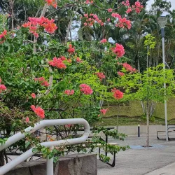 Universidad Centroamericana José Simeón Cañas (UCA) - Antiguo Cuscatlan