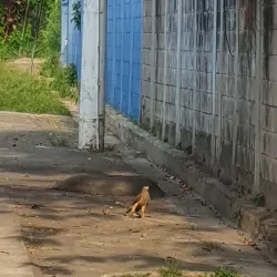 Centro Deportivo Ayutuxtepeque - Ayutuxtepeque