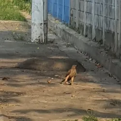 Centro Deportivo Ayutuxtepeque - Ayutuxtepeque