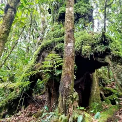Cerro El Pital National Park - Chalatenango