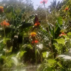 Chalatenango Town - Chalatenango