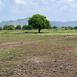 El Jocotal Lagoon - Chalatenango