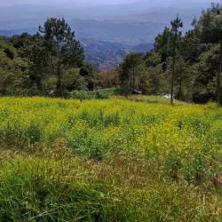 El Pital - Chalatenango