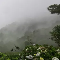 El Pital - Chalatenango