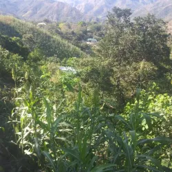 El Rosario Waterfall - Chalatenango
