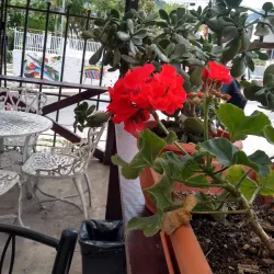 La Palma - Chalatenango