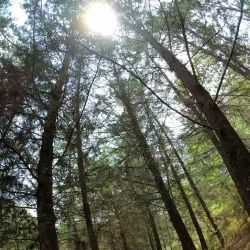 Las Pilas - Chalatenango