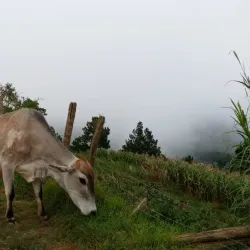 San Ignacio - Chalatenango