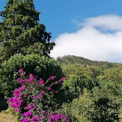 Apaneca-Ilamatepeq Mountain Range - Concepcion de Ataco