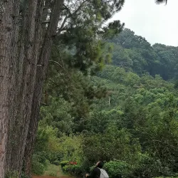 Apaneca-Ilamatepeq Mountain Range - Concepcion de Ataco