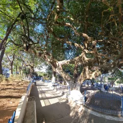 Ataco Central Park - Concepcion de Ataco