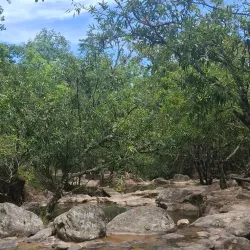 El Copinol Waterfall - Concepcion de Ataco