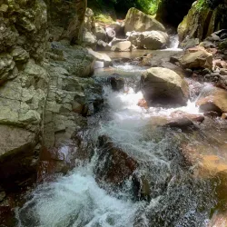 El Salvador National Flower Park - Concepcion de Ataco