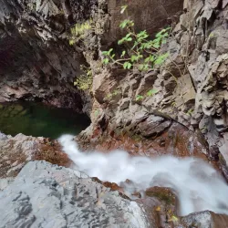 El Salvador National Flower Park - Concepcion de Ataco