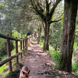 El Boqueron National Park (nearby) - Ilopango