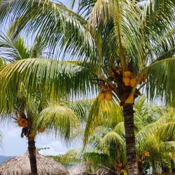 Ilopango Cultural Center - Ilopango