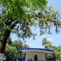 Agricultural Tours - Jucuapa