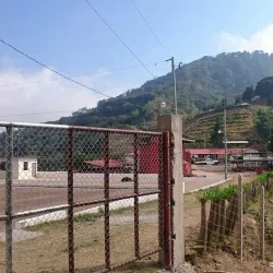 Local Coffee Plantations - Jucuapa