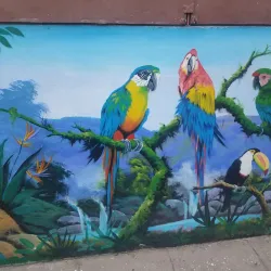 Local Handicraft Workshops - Jucuapa