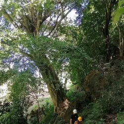 Nearby Rivers and Waterfalls - Jucuapa