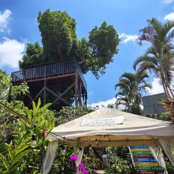 Traditional Salvadoran Cuisine Experiences - Jucuapa