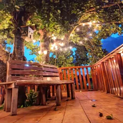 Traditional Salvadoran Cuisine Experiences - Jucuapa