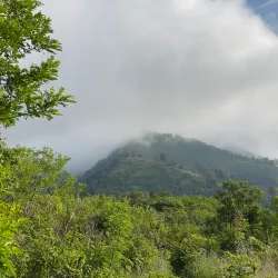 Cerro El Picacho - Nejapa
