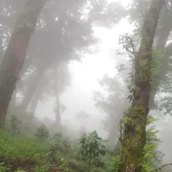 Cerro El Picacho - Nejapa