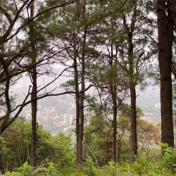 Cerro El Picacho - Nejapa