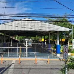 La Bajada de la Virgen - Nejapa