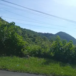 La Bajada de la Virgen - Nejapa