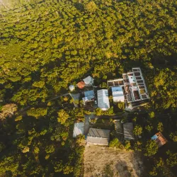 Nearby Coffee Plantations - Nejapa