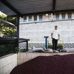 Nearby Coffee Plantations - Nejapa