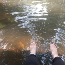 Río Nejapa - Nejapa