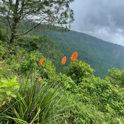 Volcán de San Salvador (Quetzaltepec) - Nejapa