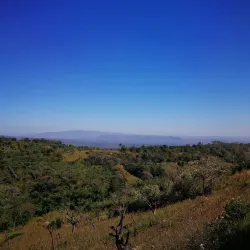 Ruta de las Flores (nearby) - Nuevo Cuscatlan