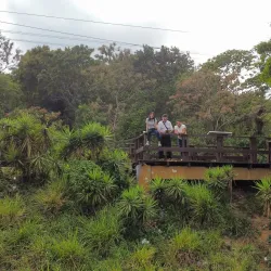 Ruta de las Flores (nearby) - Nuevo Cuscatlan