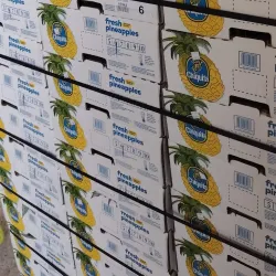 Mercado Central de San Miguel - San Miguel