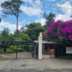 Jardín Botánico La Laguna - San Salvador
