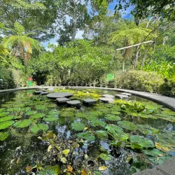Jardín Botánico La Laguna - San Salvador