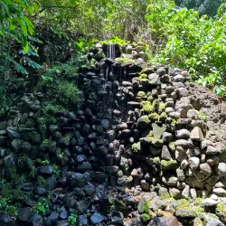 Jardín Botánico La Laguna - San Salvador