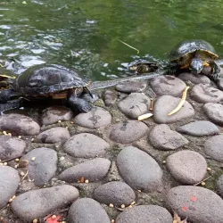 Jardín Botánico La Laguna - San Salvador