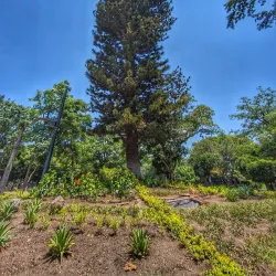 Parque Cuscatlán - San Salvador