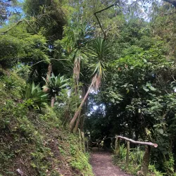 Volcán de San Salvador (Quezaltepeque Volcano) - San Salvador