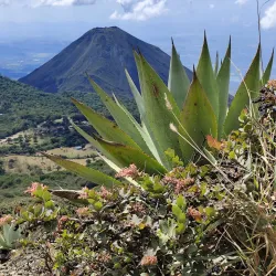 Santa Ana Volcano (Ilamatepeq) - Santa Ana