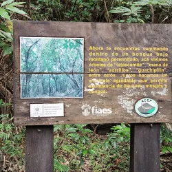 Santa Ana Volcano (Ilamatepeq) - Santa Ana