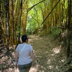 Parque Bicentenario - Santa Tecla