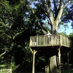 Parque Bicentenario - Santa Tecla