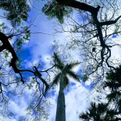 Parque Central de Santa Tecla - Santa Tecla